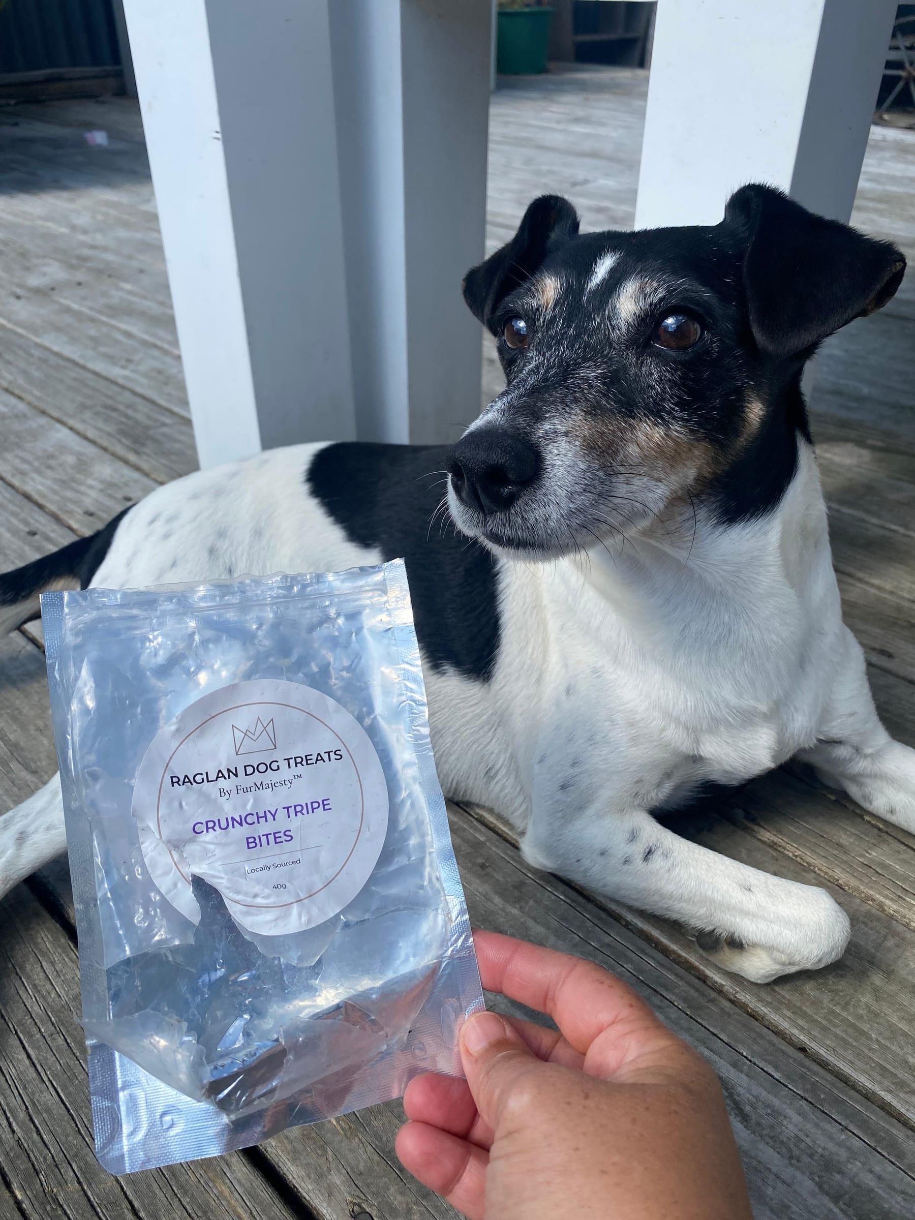 FurMajesty crunchy air-dried New Zealand tripe bites for dogs